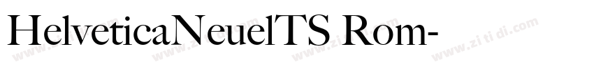 HelveticaNeuelTS Rom字体转换